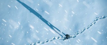 Wiatr - Igor Brejdygant