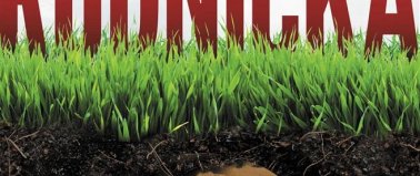 Między młotem a&nbsp;imadłem- Olga Rudnicka