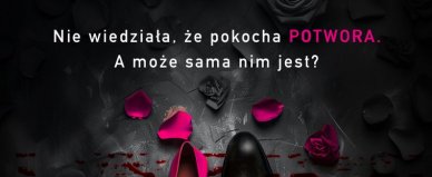 Wspólniczka - Steve Cavanagh